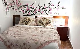 Ruby Rose House